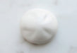 Plum Plastic Accessory 05 Head Model Parts White - Japan- Japan Figure Store - #1 Bring To You The Best Japanese Goods